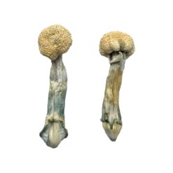 mdma assisted therapy near me​