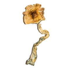 where to buy legal thc gummies​