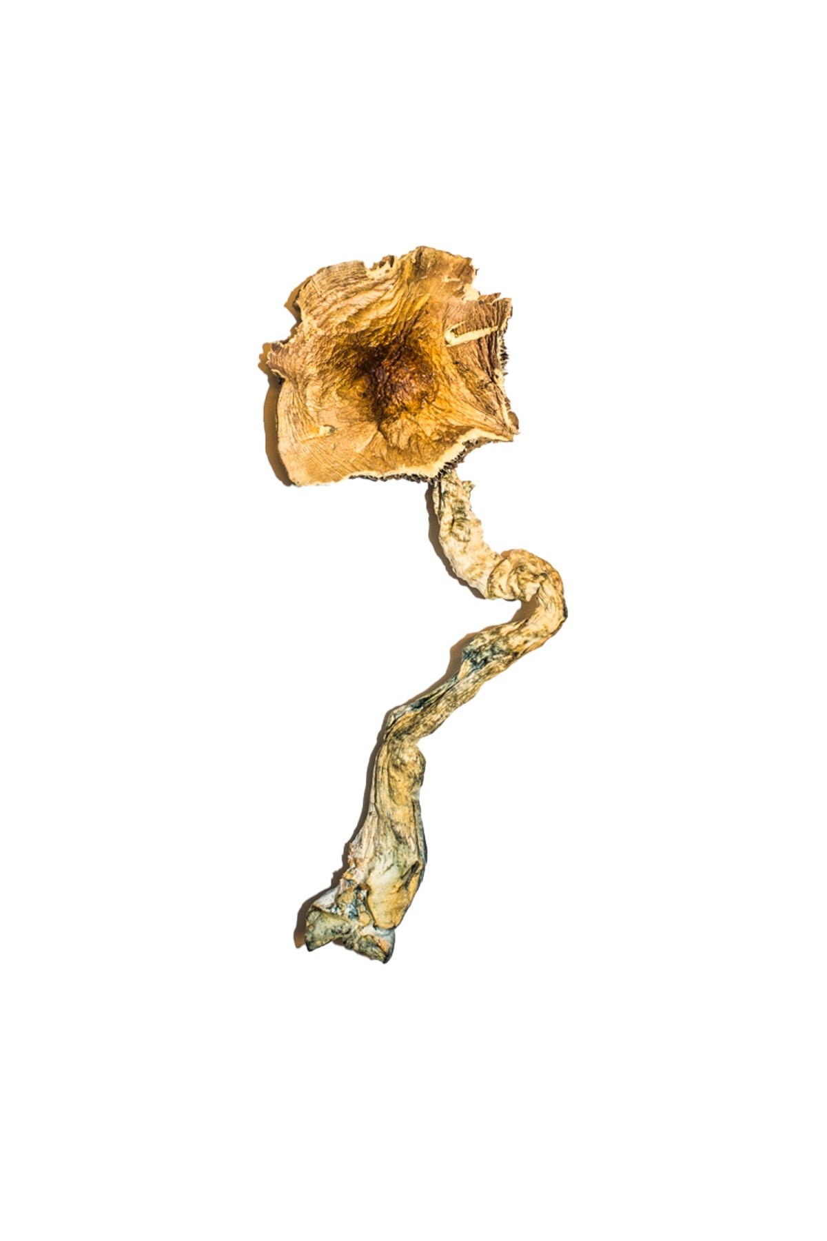 where to buy legal thc gummies