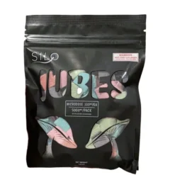 magic mushroom edibles