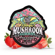 Shrooms Edibles