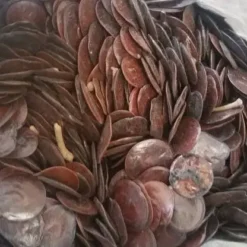 cocaine country dancin