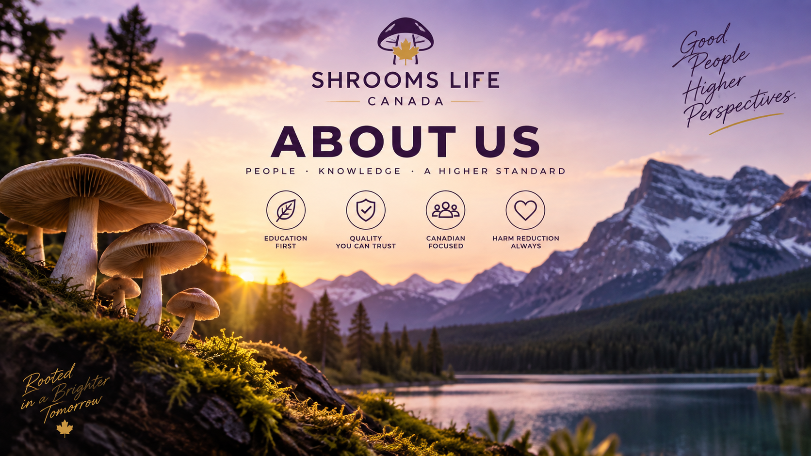 About Shrooms Life Canada