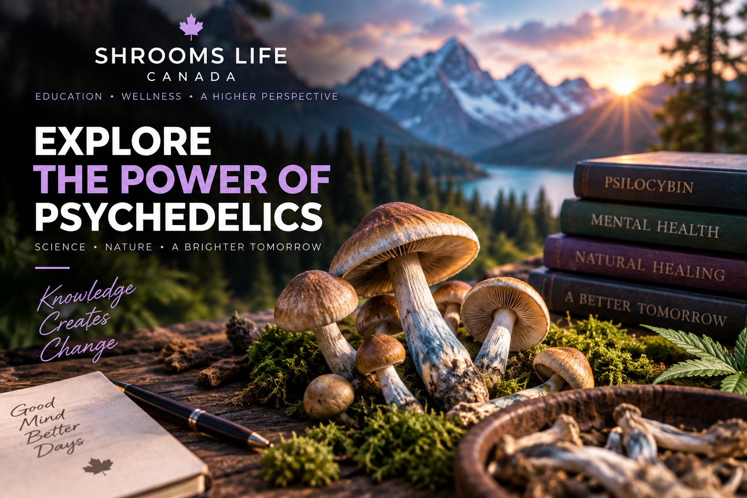 Shrooms Life Canada Blog